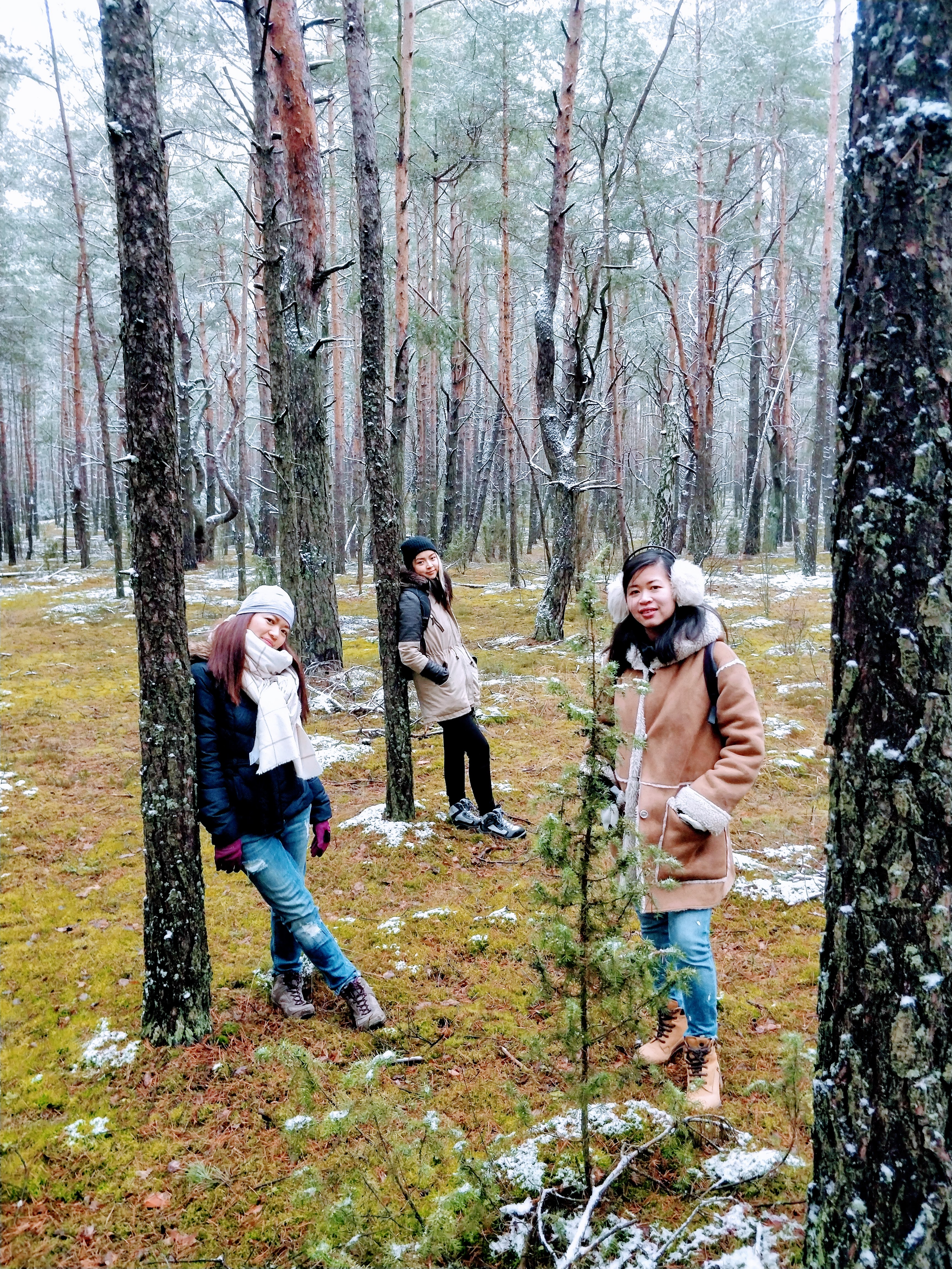 3 chị em giữa mùa đông ba lan, trời tuyết lạnh trong rừng